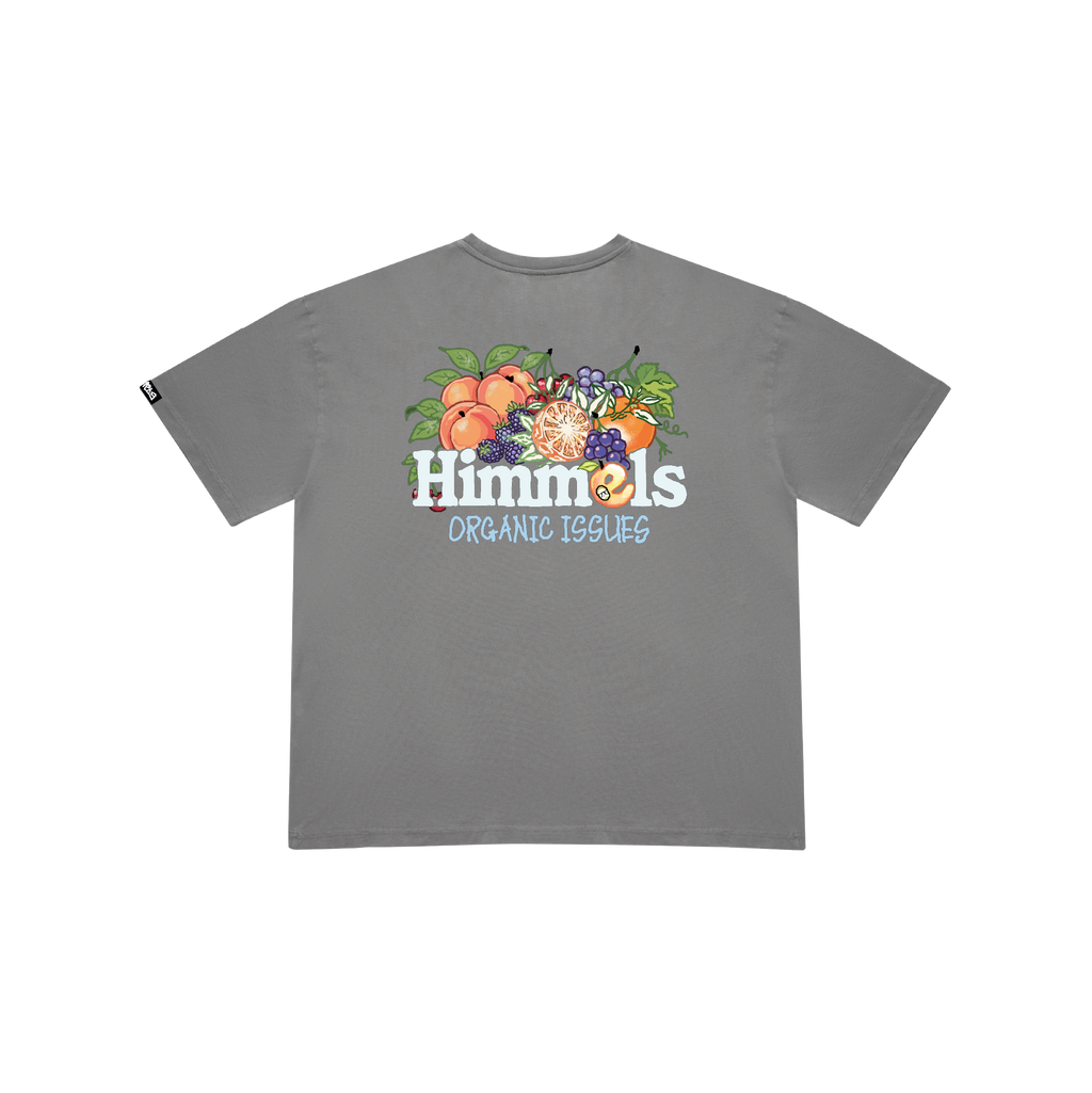 ORGANIC ISSUES T-SHIRT CHARCOAL