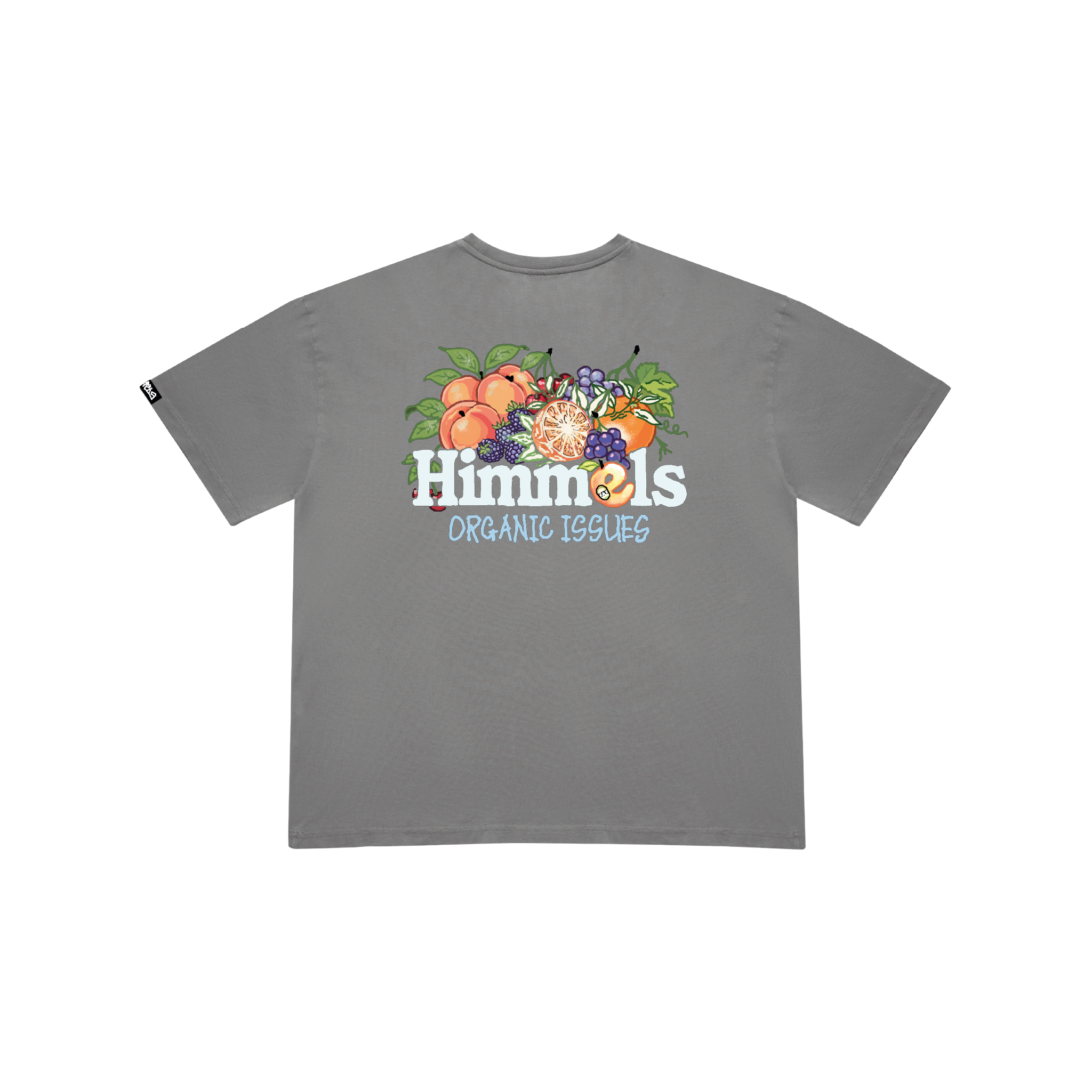 ORGANIC ISSUES T-SHIRT CHARCOAL